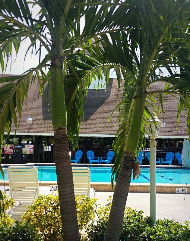 Dolphin Key Resort - Cape Coral - image 8