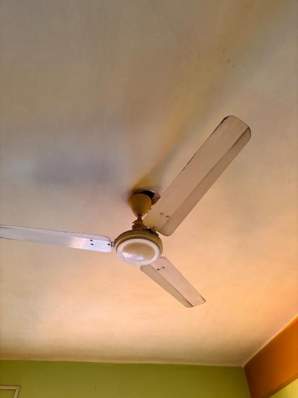 Piyali Homestay - image 6