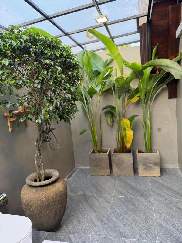 Kurunda Estate Villa - image 31