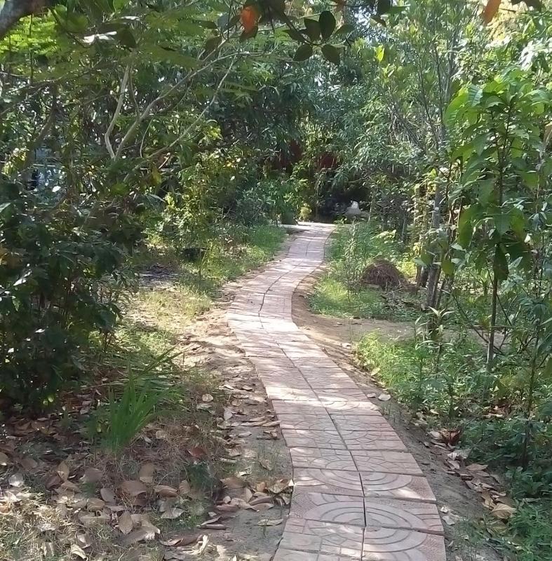 Green Garden Homestay - image 7