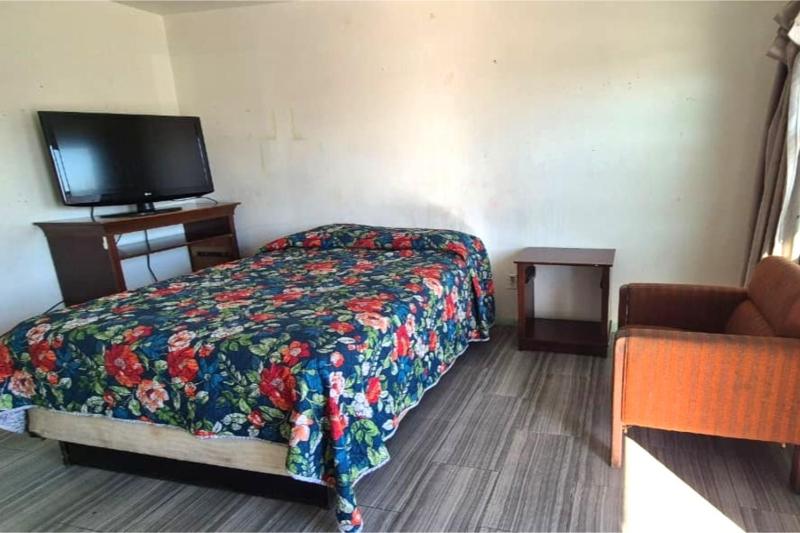 Base Motel By OYO South Tampa - image 4