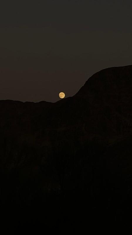 Shadow of Rum camp - image 11