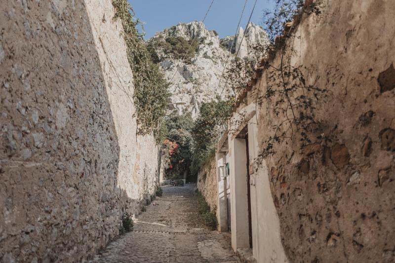 Golden house - image 19