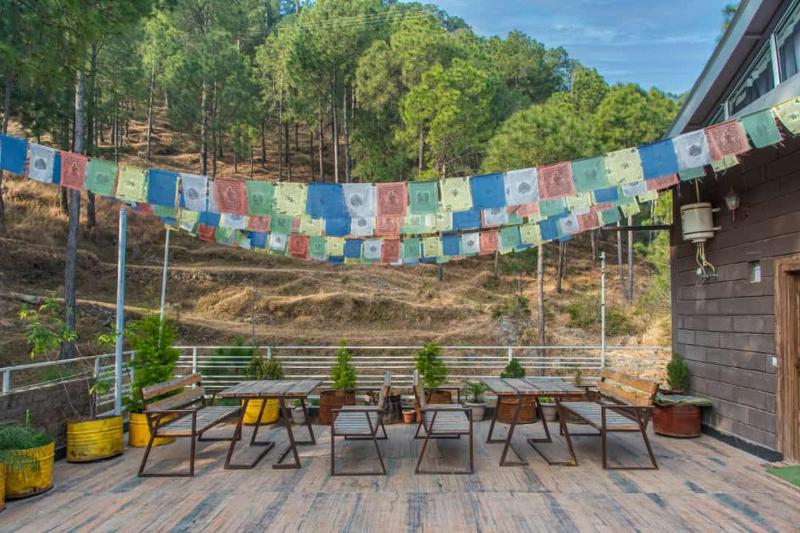 Silver wings Kasauli - image 18
