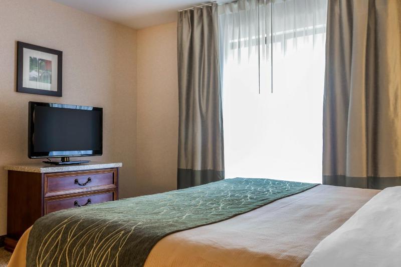 King Room - Non-Smoking image 3