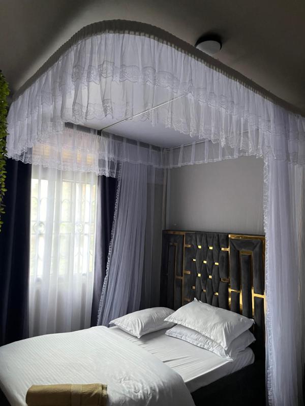 kingDavid homes - image 6