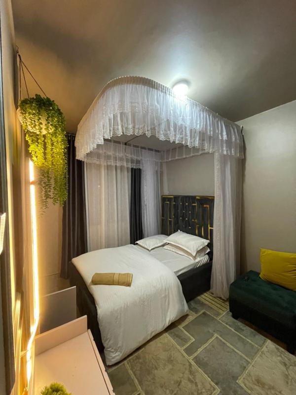 kingDavid homes - image 5