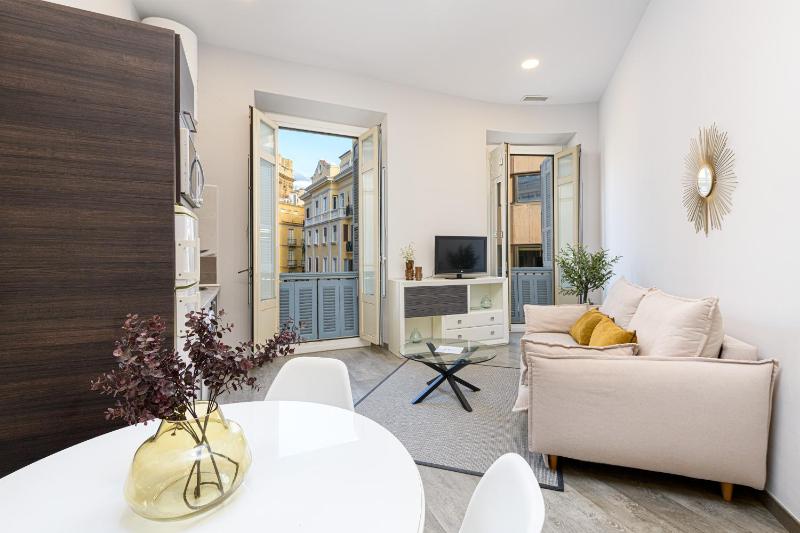 Apartamentos Calle Larios - image 9