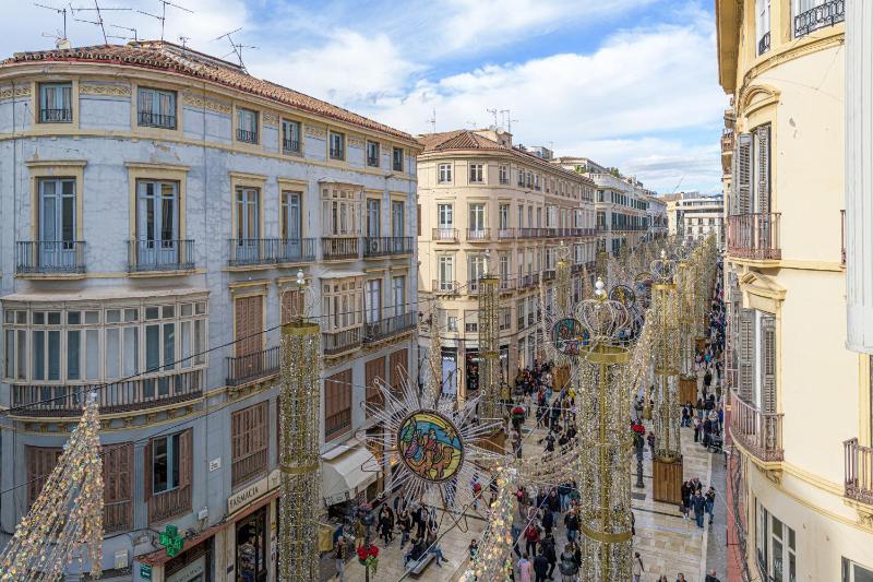 Apartamentos Calle Larios - image 11