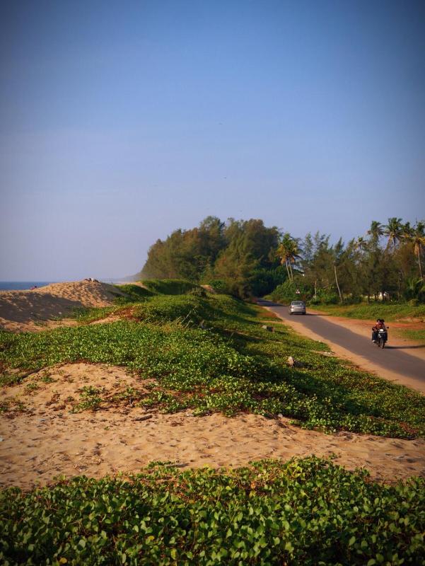 Haven Home stay Explore cherai beach like Never b4 - image 8