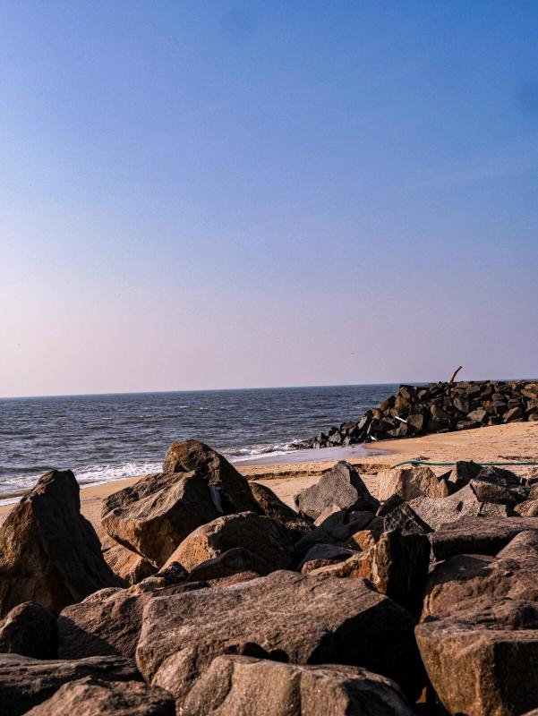 Haven Home stay Explore cherai beach like Never b4 - image 31