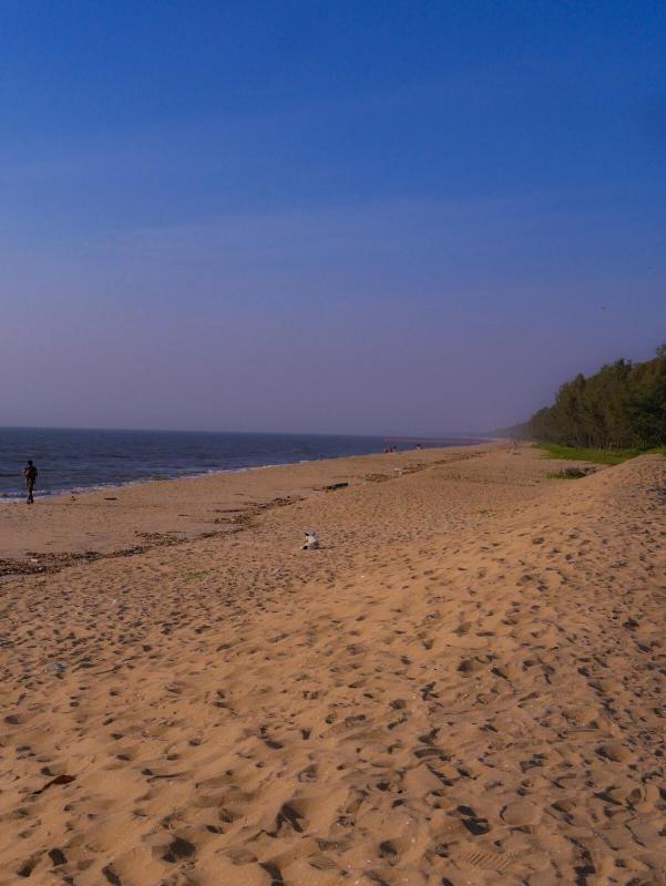 Haven Home stay Explore cherai beach like Never b4 - image 17