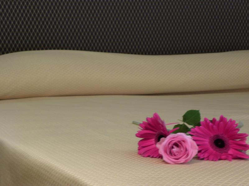 Suite image 4