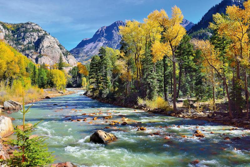 New Luxurious 4BR w Central AC in Aspen's Core - image 14