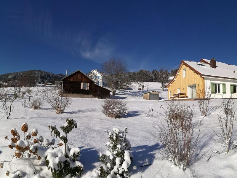Gîte chaleureux à Gérardmer 5 pers. - FR-1-589-845 - image 10