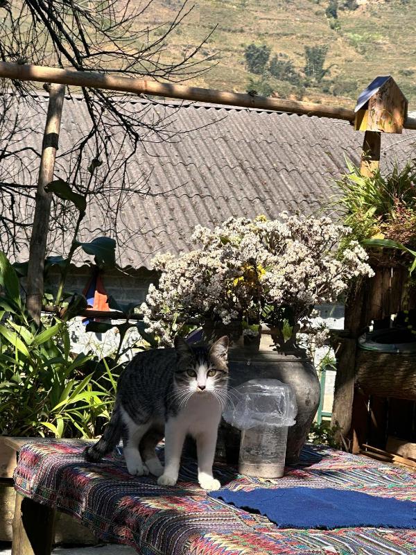 The Hermit Sapa Homestay - image 10