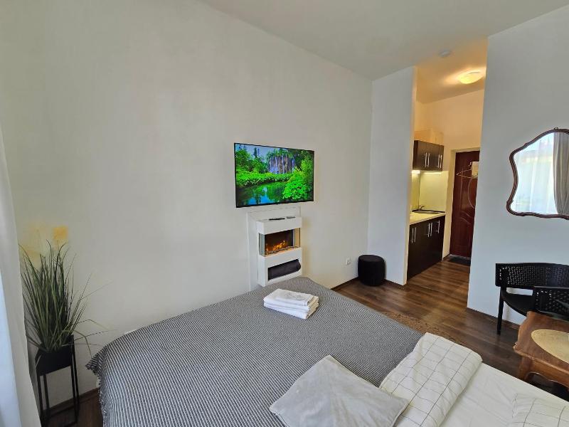 S8 Small studio apartment - image 12
