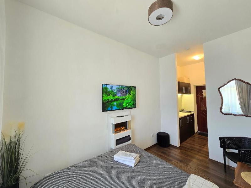 S8 Small studio apartment - image 3