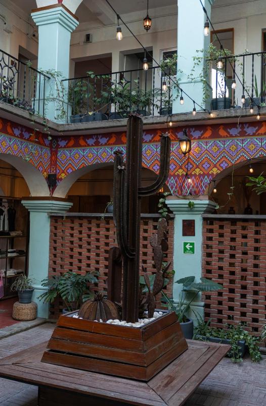Selina Oaxaca - image 6