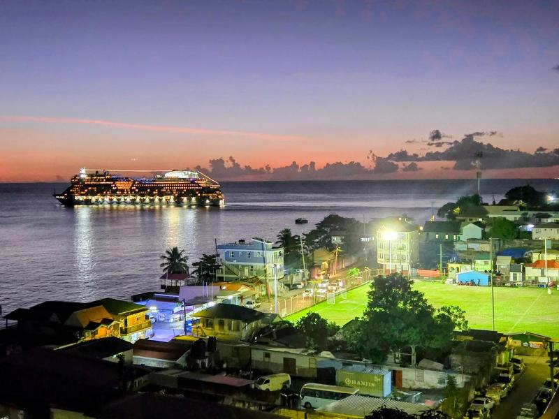 VIP Residence Dominica - Pool and Ocean Views 2 Minutes to Roseau - image 13