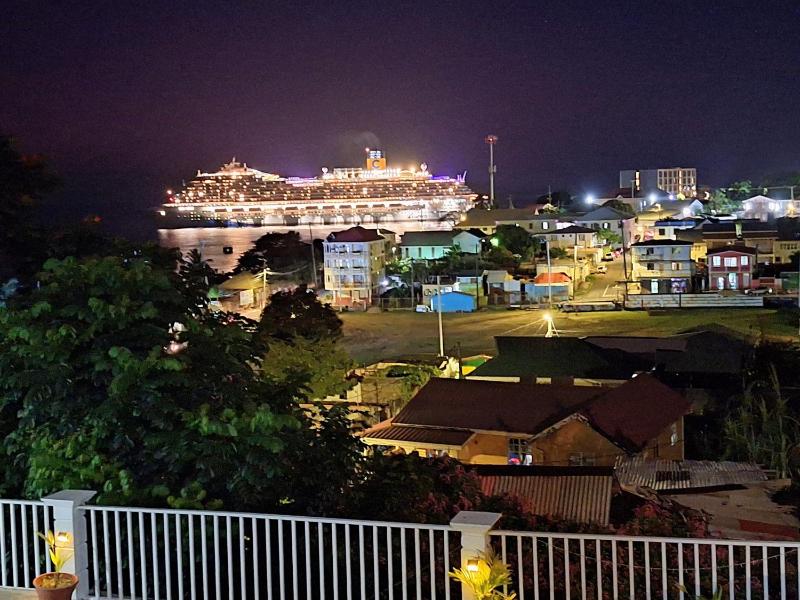 VIP Residence Dominica - Pool and Ocean Views 2 Minutes to Roseau - image 12