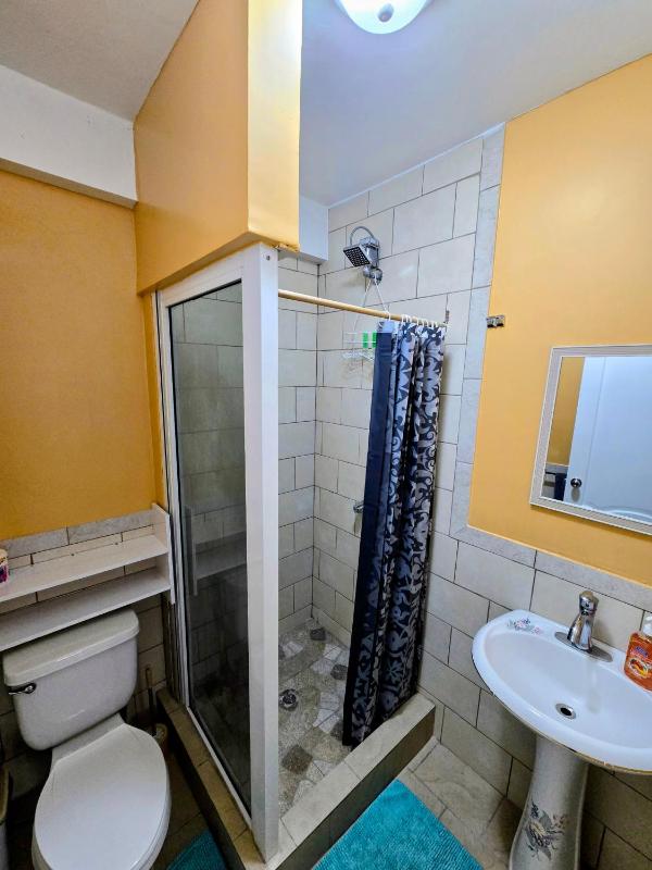 VIP Residence Dominica - Pool and Ocean Views 2 Minutes to Roseau - image 5