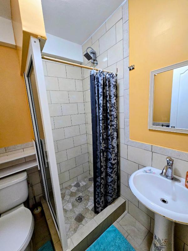 VIP Residence Dominica - Pool and Ocean Views 2 Minutes to Roseau - image 14