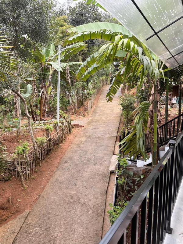 Liora Cottage Ella - image 7
