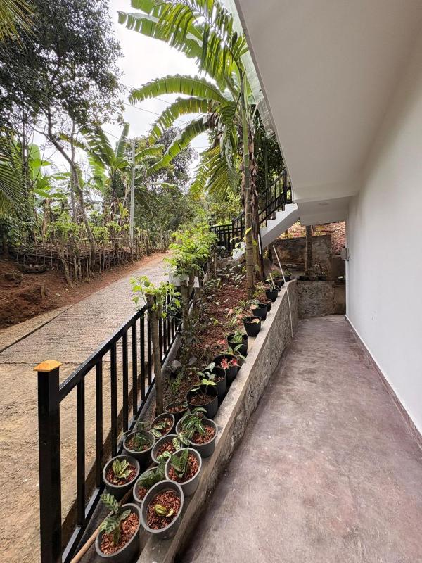 Liora Cottage Ella - image 12