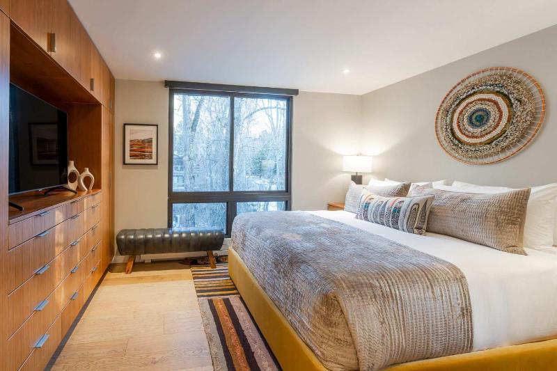 Renovated Riverfront 3 BR Walk to Gondola - image 43