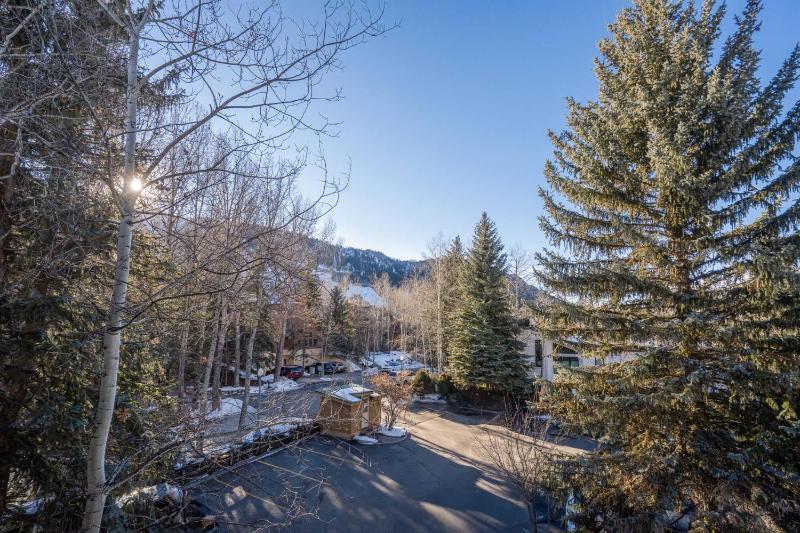 Renovated Riverfront 3 BR Walk to Gondola - image 25