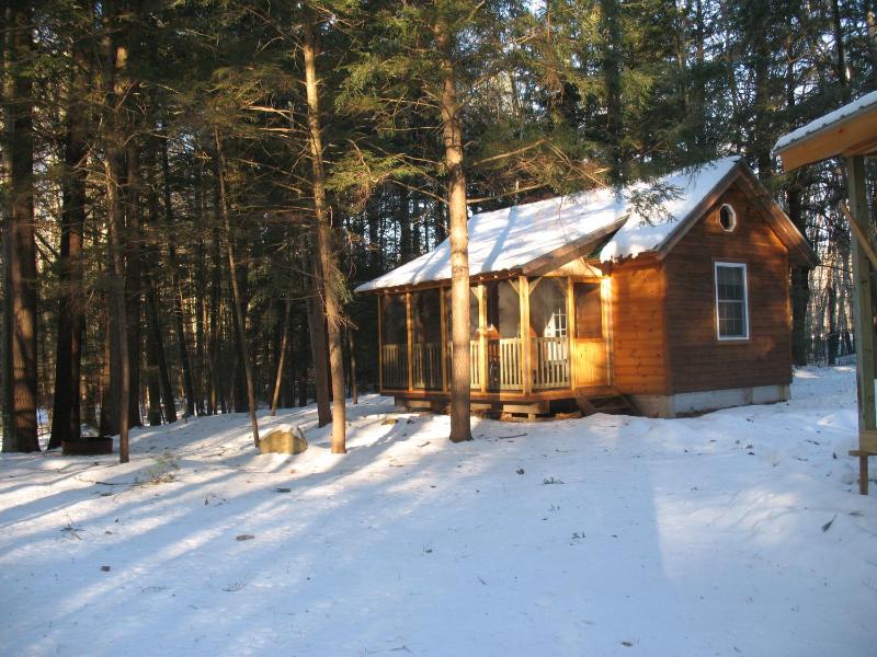 Pickerel Cabin - Pet Friendly image 2
