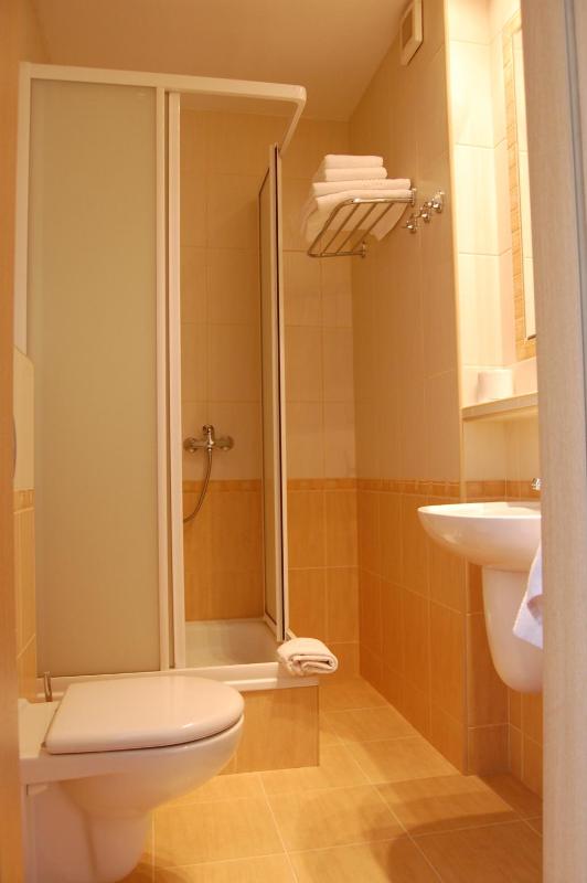 Single Room image 2