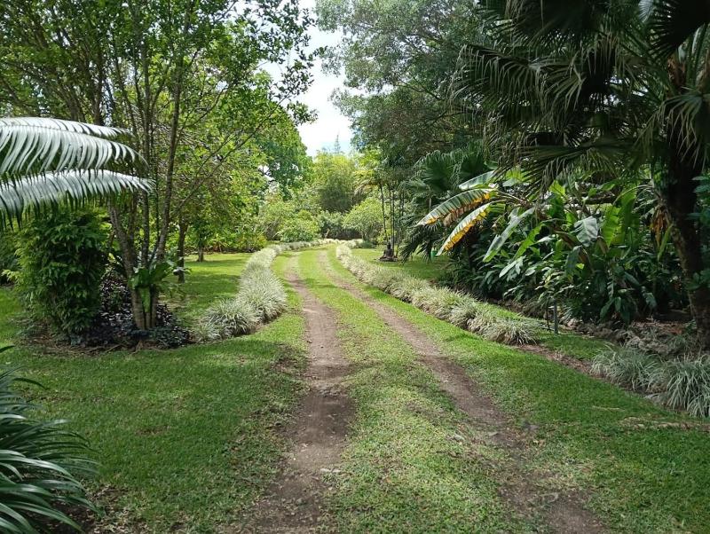 The Oasis Bukura - Beautiful Beachfront Villa - image 14