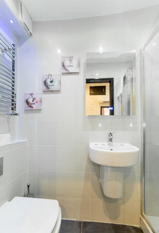 One-Bedroom Apartment (4 Adults) image 2