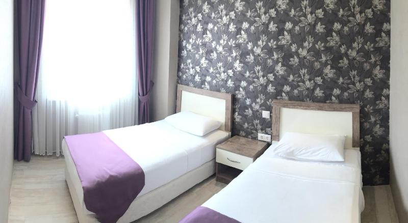 Standard Twin Room image 4