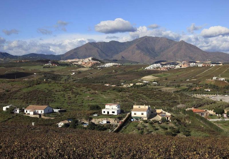 Pure South Views - image 43