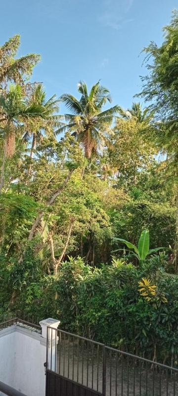 Ravi Guset Habaraduwa - image 15