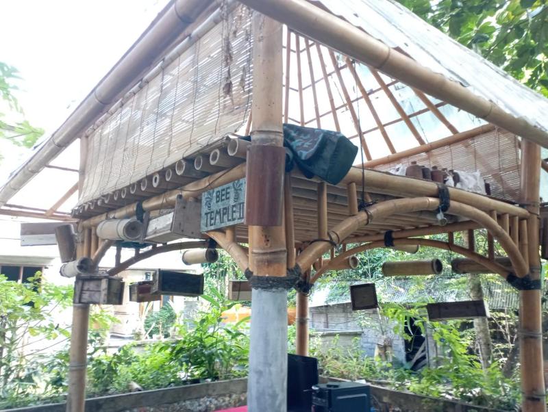 Permaculture House - image 4