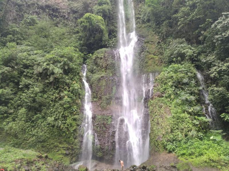 Hostel Orozco - Costa Rica - image 10