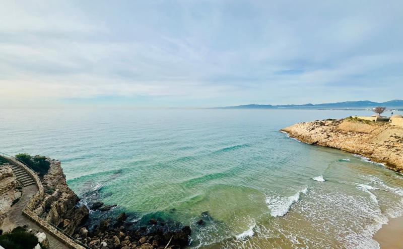 Home Rits Salou - image 23