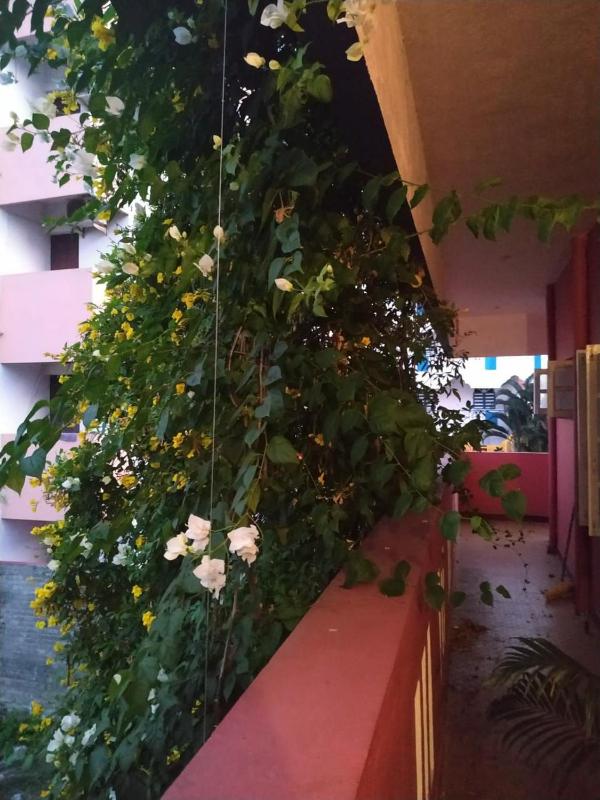 LA MAISON RENALD 4 BHK suits 13 members very near to white town rock beach railway station - image 2