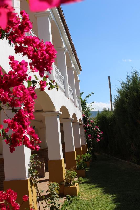 Apartamentos Bolonia Paraiso - image 17