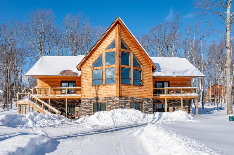Winter Iris by Railey Vacations - image 11