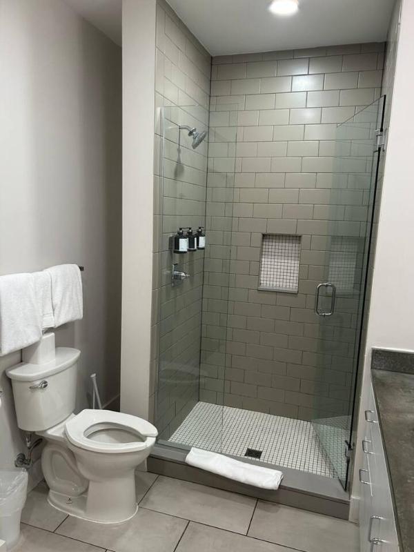 The Gregory Suite 302 - image 9