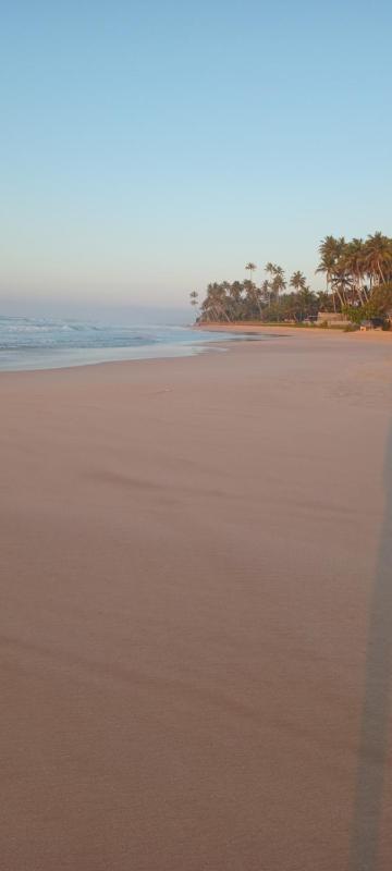 Ravi Guset Habaraduwa - image 5