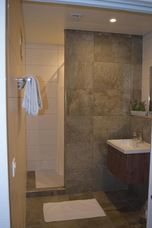 Premium Quadruple Room image 4