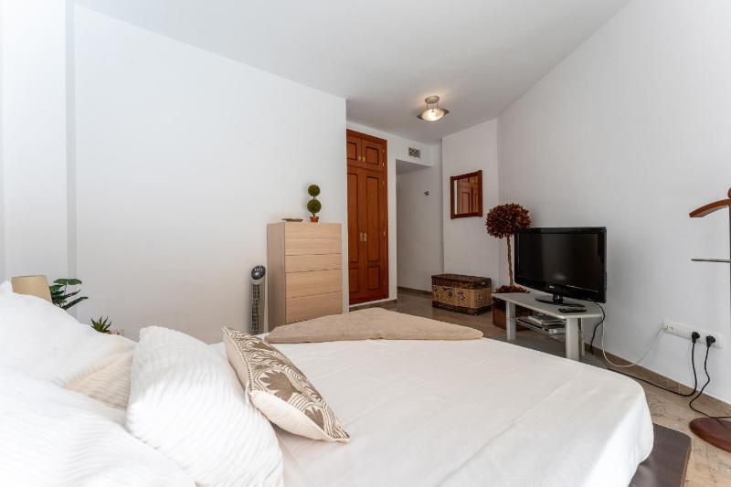 MalagaSuite Playamar Terrace & Pool - image 12