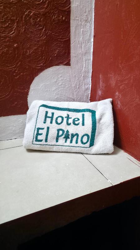 El Pino - Hotel Economico Guadalajara - image 8