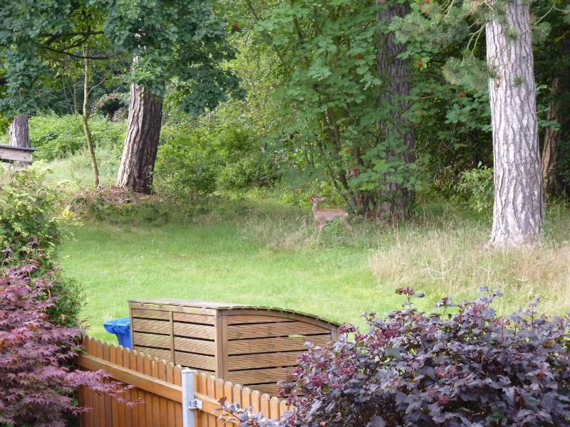 4 Personen Ferienwohnung im Wald mit Kamin 84m² 3 Zimmer - image 26